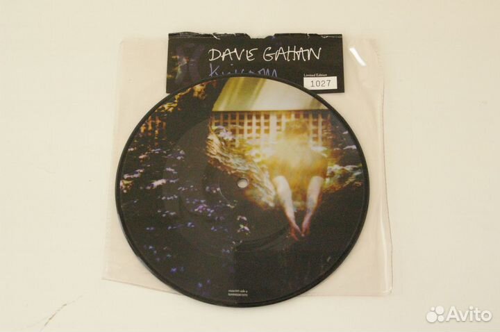 Пластинка Dave Gahan Kingdom 7