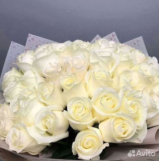 Высокие розы Гигантские Розы 150 160 170 180 190см