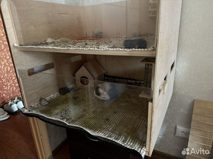 Стеллаж для грызунов/клетка для морской свинки