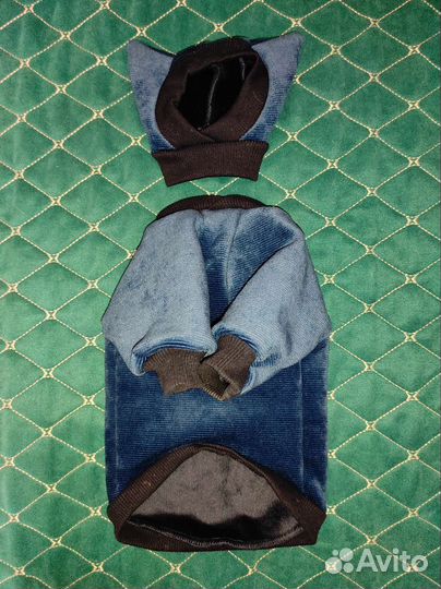 Одежда для маленьких собак и обувь