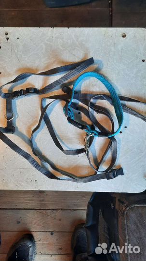 Поводок для кошек