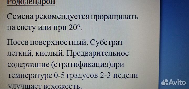 Саган Дайля- Рододендрон Адамса семена
