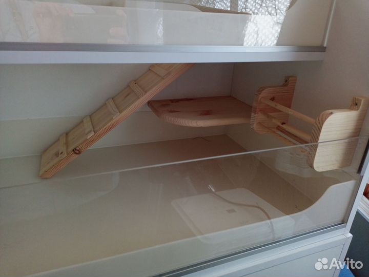 Стеллаж для морских свинок