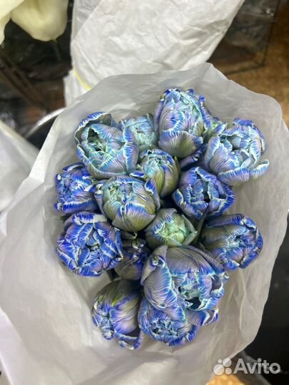 Тюльпаны пионовидные