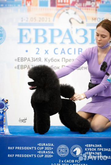 Услуги хендлера