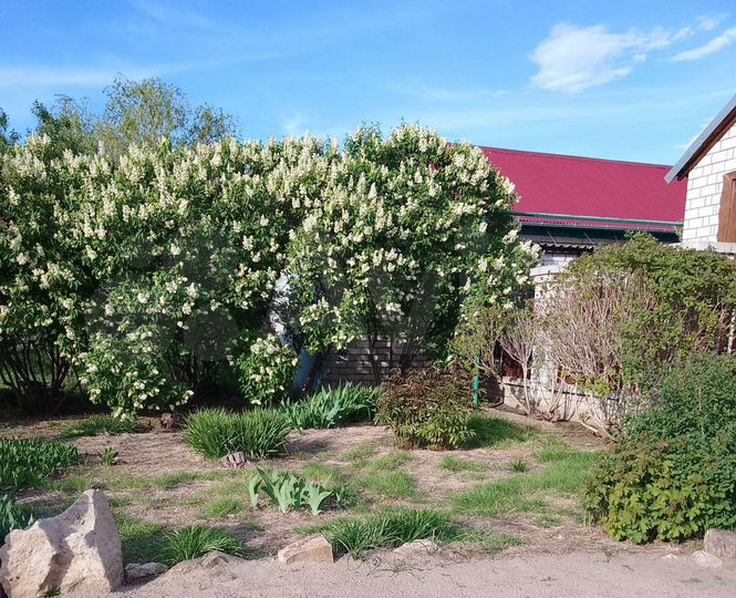 Дом 53 м² на участке 4 сот.