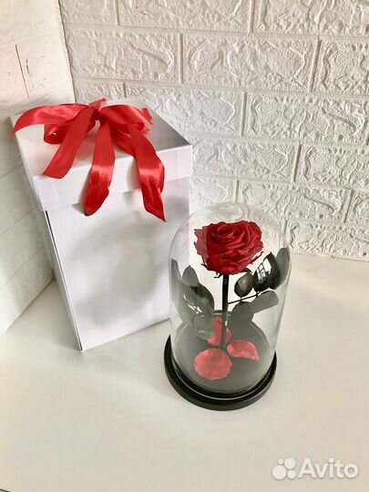 Живая роза в колбе