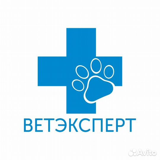 Администратор