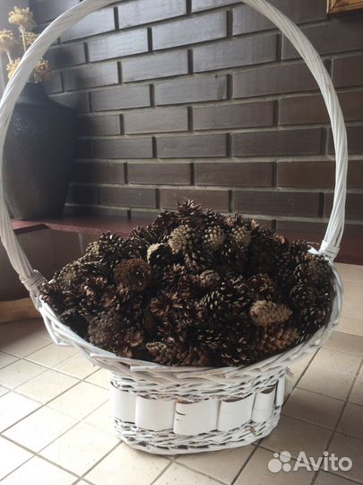 Шишки еловые,сосновые