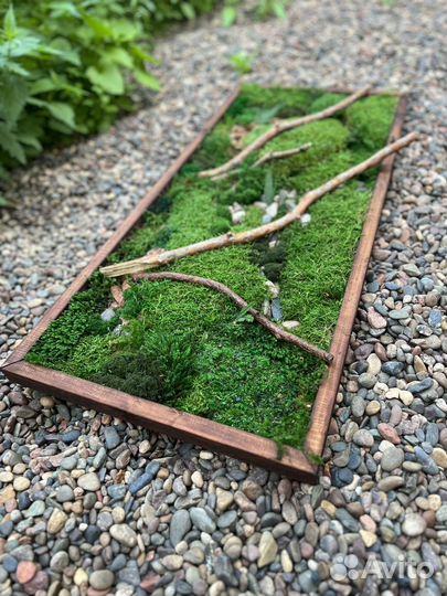 Панно из стабилизированного мха