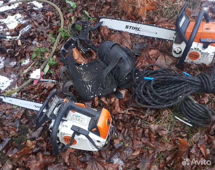 Спил деревьев