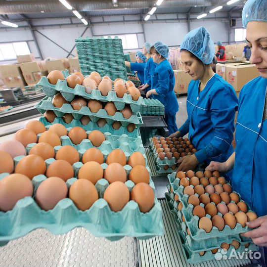 Вахта жилье упаковщик Пермь