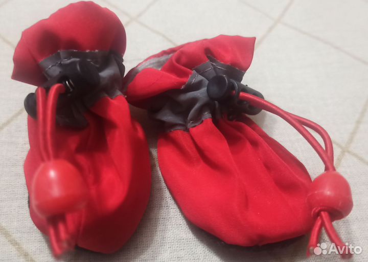 Обувь для собак