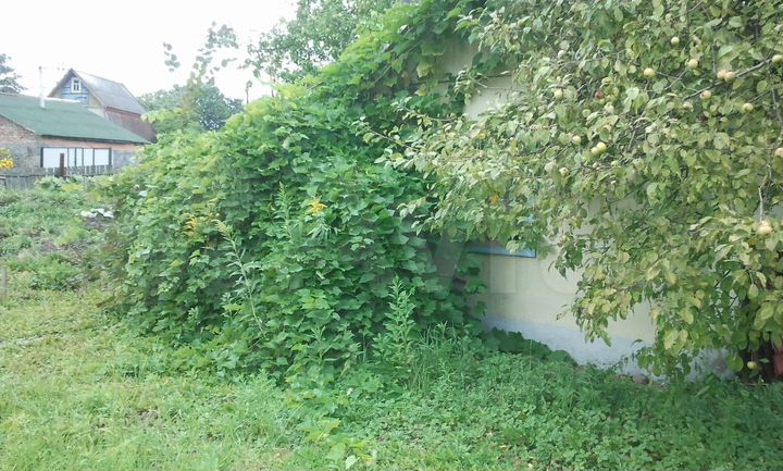 Участок 8,1 сот. (СНТ, ДНП)