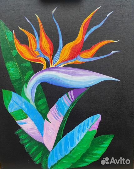 Картина маслом на холсте цветок Стрелиция