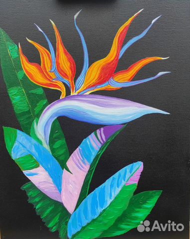 Картина маслом на холсте цветок Стрелиция