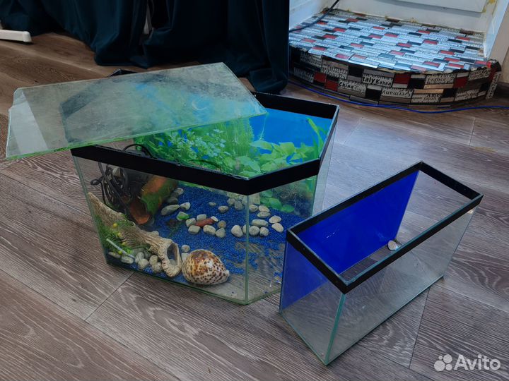 Аквариум