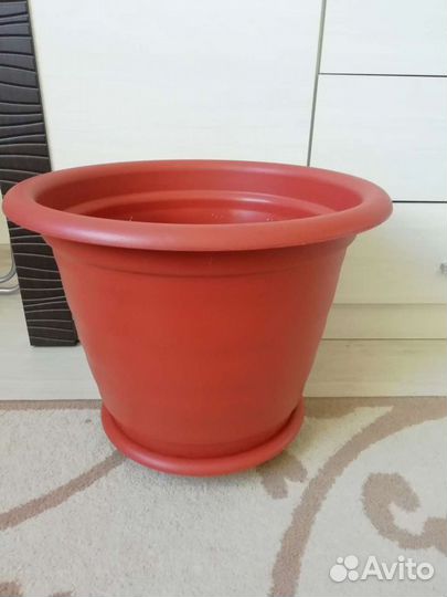 Горшок для цветов и цветы комнатные