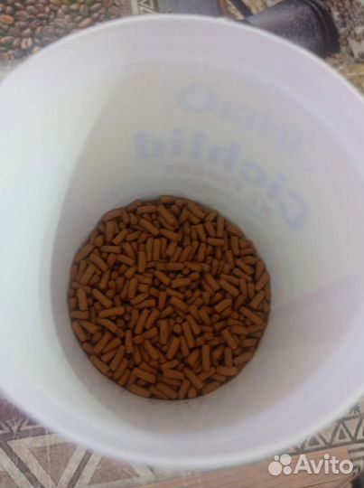 Грунтоочиститель. Аквариум отсадник. Декор