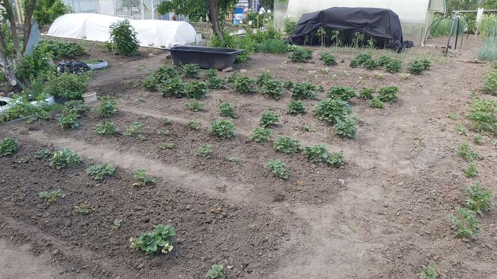 Дача 15 м² на участке 5 сот.