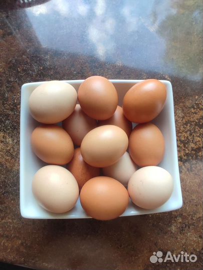 Домашние куриные яйца