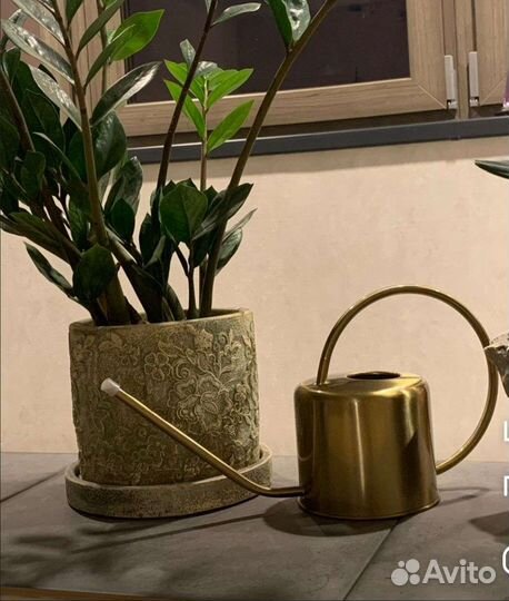 Лейка для цветов металлическая