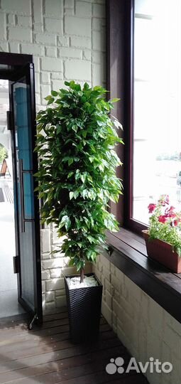 Искусственное дерево, цветок для декора