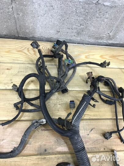 Проводка двс Лада Ларгус универсал K9K 8796 2009