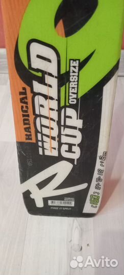 Горные лыжи