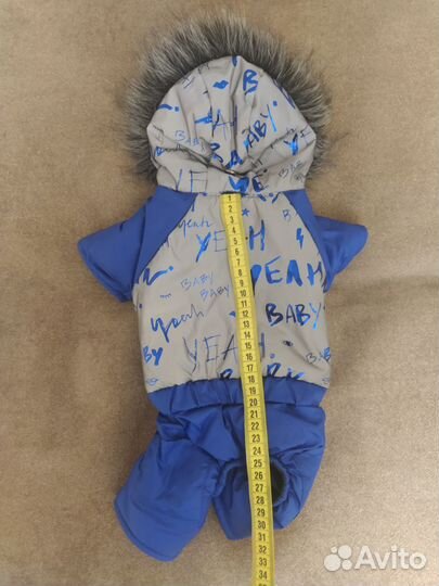 Одежда для маленькой собачки