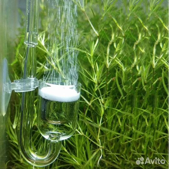 Аксессуары для подачи со2 в аквариум
