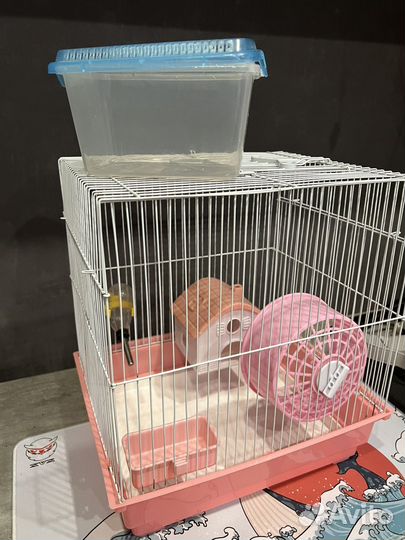 Клетка для хомяка
