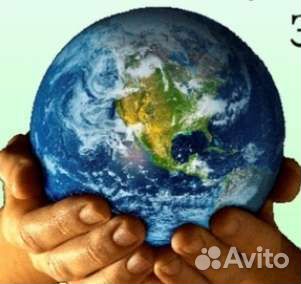 Агент по недвижимости Риэлтор