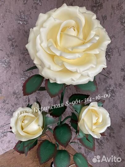 Розы ростовые