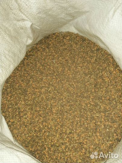 Дробленая Вика