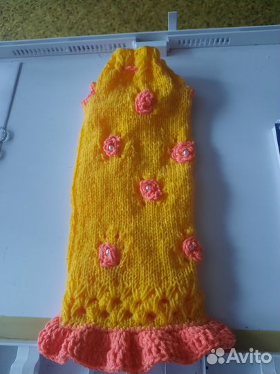 Одежда для собак мелких пород