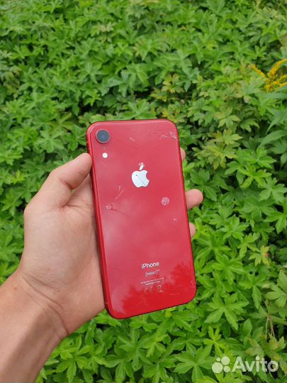 iPhone XR 64GB