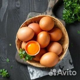 Яйцо Инкубационное