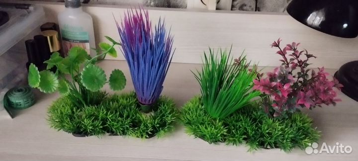 Аквариум 60 литров