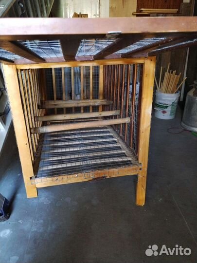 Огромная клетка