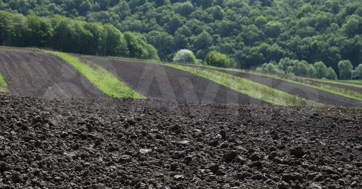 Участок 2499 га (СНТ, ДНП)