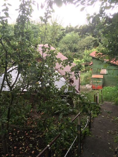 Участок 8 сот. (ИЖС)