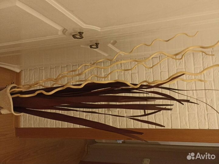 Растения для декора, интерьерной композиции