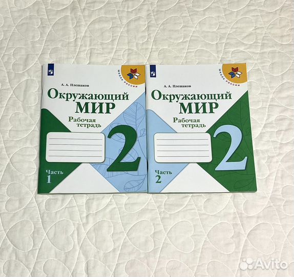 Окружающий мир 2 класс рабочая тетрадь