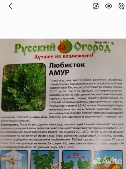 Многолетние цветы для сада