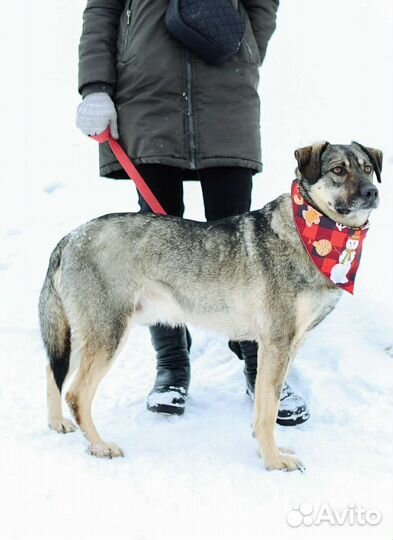 Ярик из приюта надеется на чудо