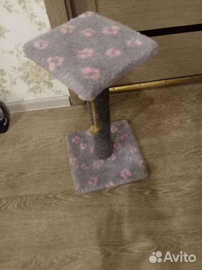 Когтеточка