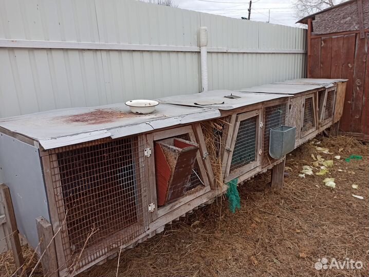 Кролики, клетки