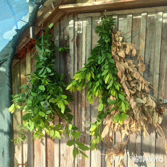 Лавровый венок