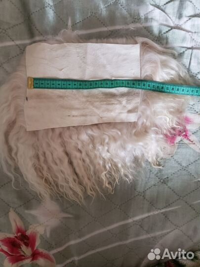 Куклы Блайз новые